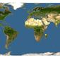 Discover Life: Point Map of Leucas aspera