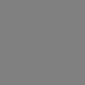 Starr 991109-1155 Plectranthus parviflorus.jpg